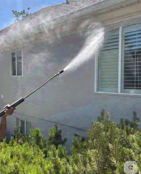 Exterior Detailing & Scrub